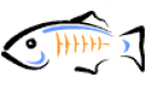 GlassFish Training in Canada