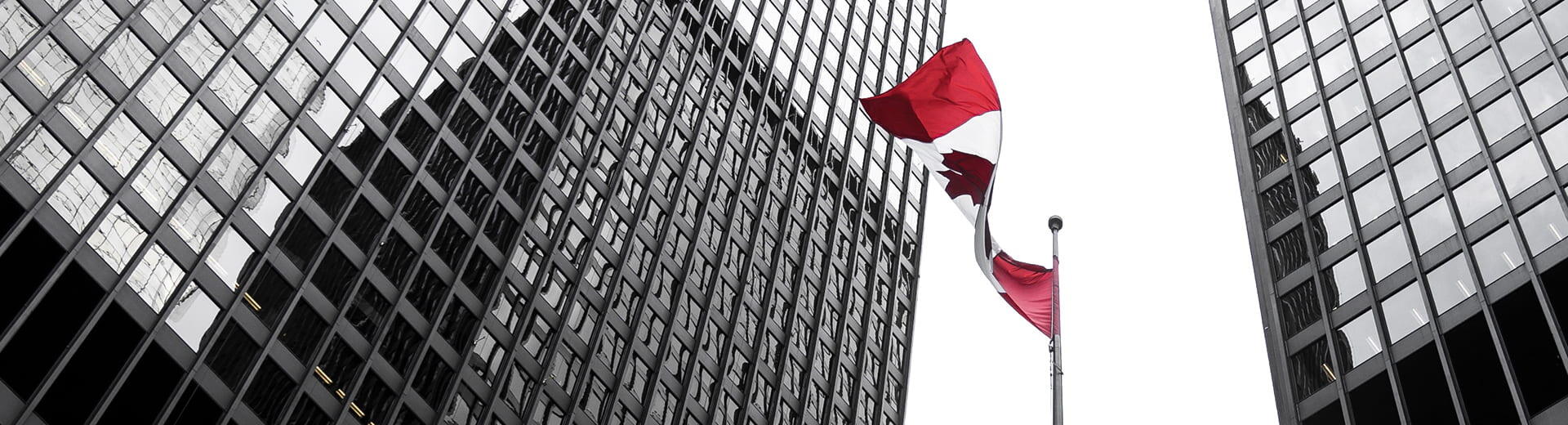 Pay up to $15,000 less for your training!